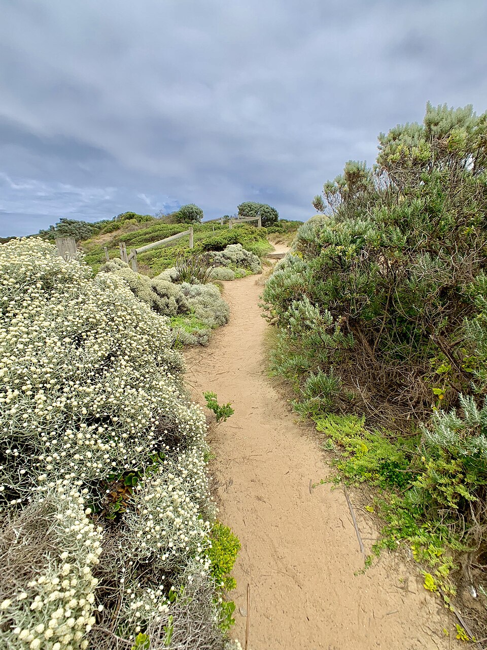 Mornington Peninsula — beach path