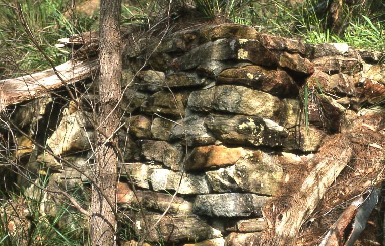 Waitara — Hornsby bushland