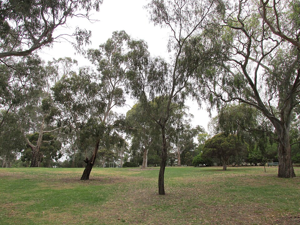Fritsch Holzer Park — Hawthorn East area