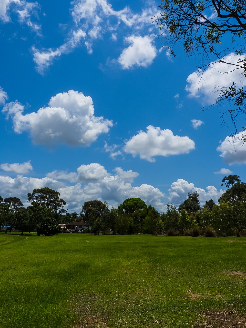 North Brisbane suburban parkland