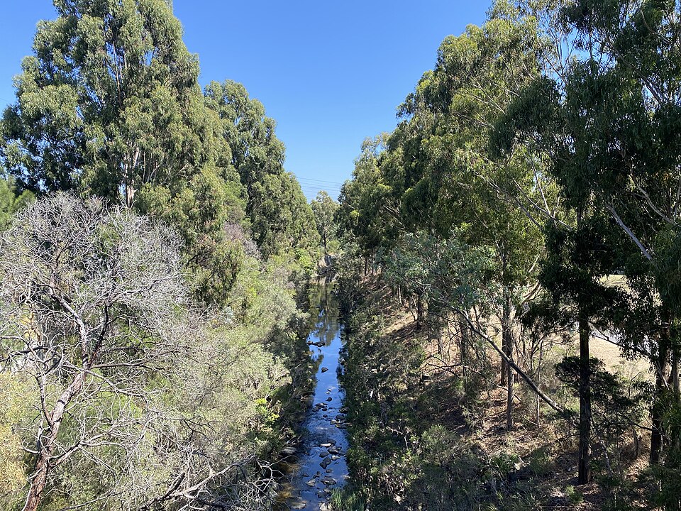 Gardiners Creek Reserve — bush trail