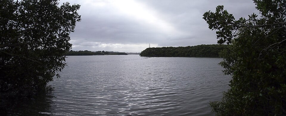 Ermington — river foreshore pathway