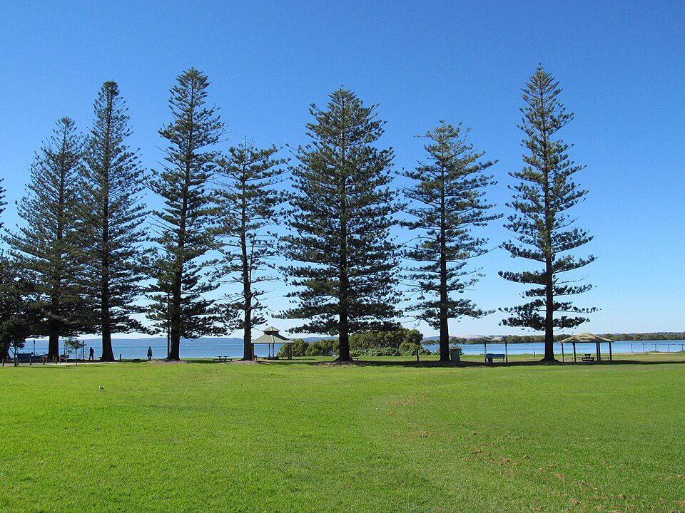 GJ Walter Park Cleveland — grassy foreshore park