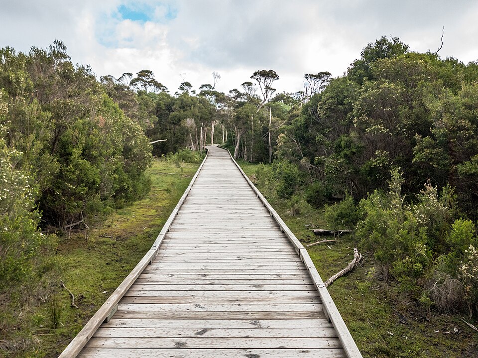 Glenfern Valley — dirt trail through bush