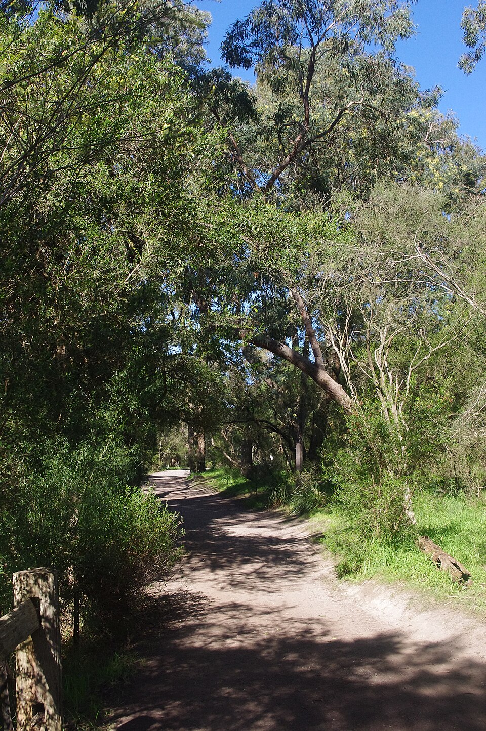 Glenfern Valley — woodland path