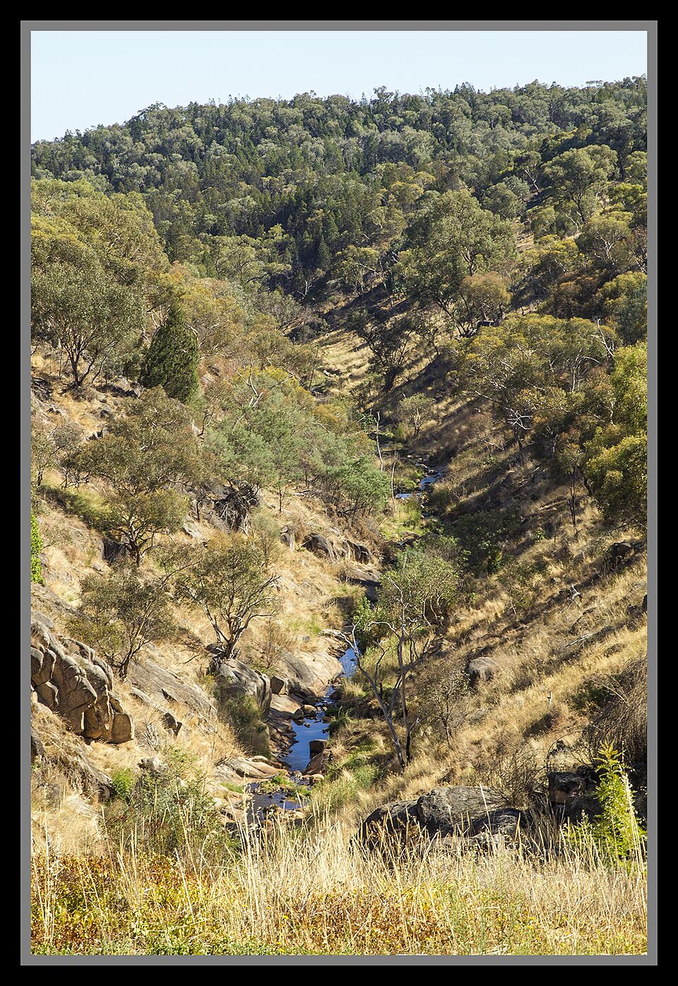 Beechworth Gorge Walk — rocky gorge