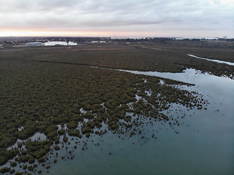 Hastings — Western Port coastal reserve