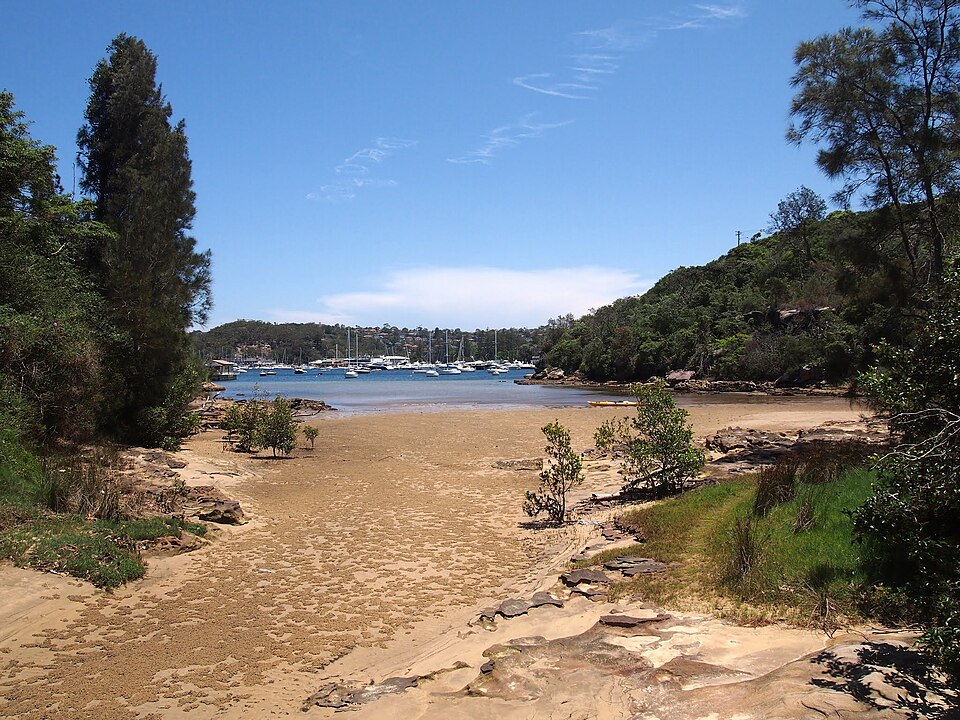 Mosman Bay walk — harbour bush path