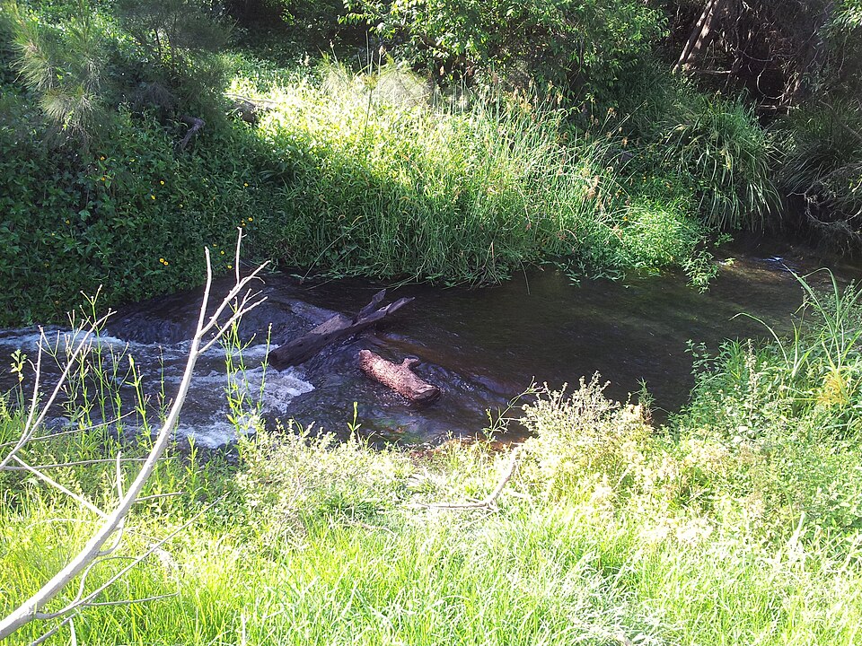 Hinterland regional parkland — creek-side path