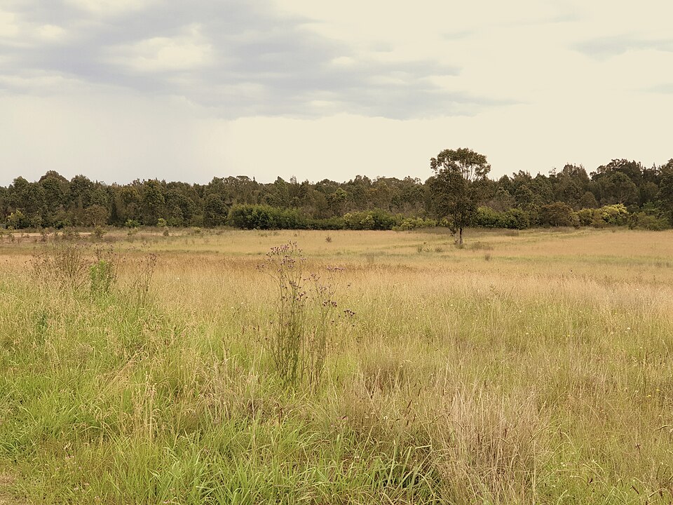 Western Sydney — open parklands