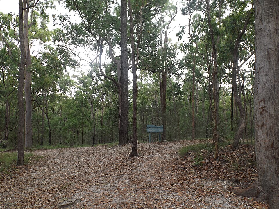 Karawatha Forest — bush discovery trail signage area