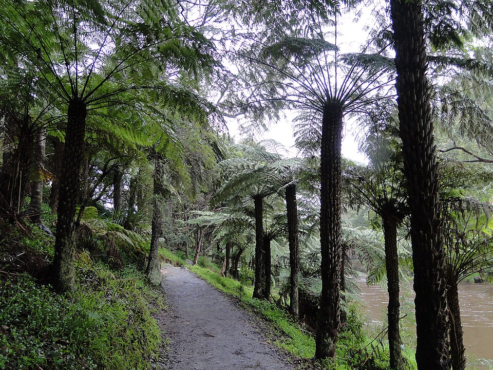 Warburton — riverside walking path