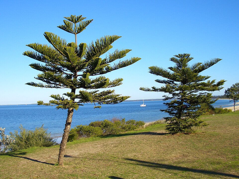 Botany Bay — off-leash beach area