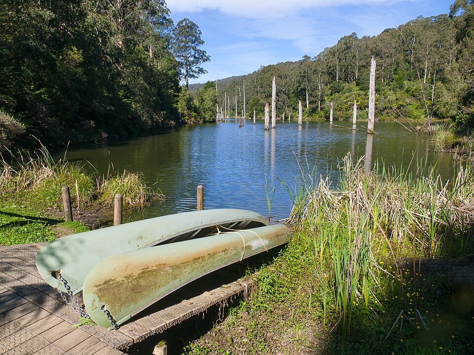 Lake Elizabeth — Otways circuit lake