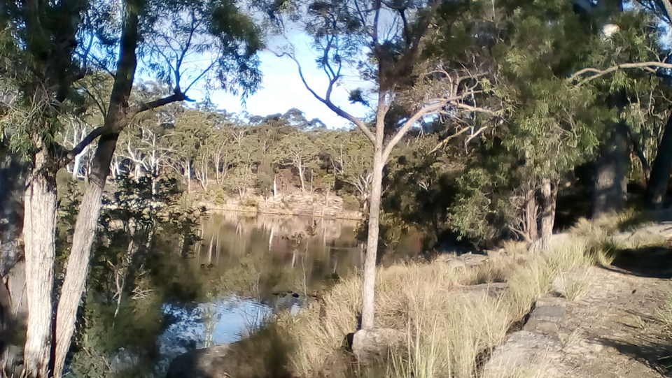 Lake Parramatta — reserve bushland