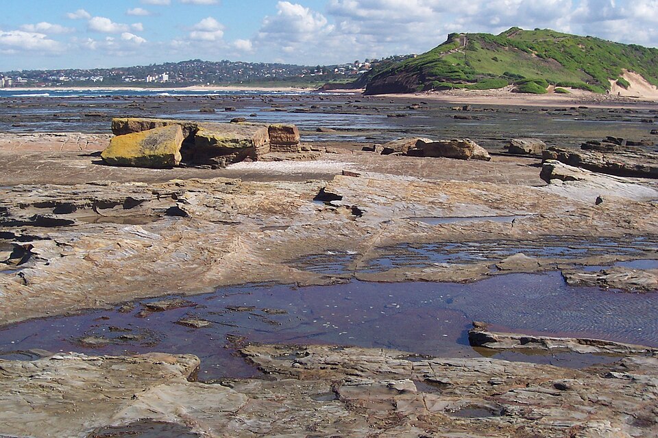 Long Reef — rock platform path