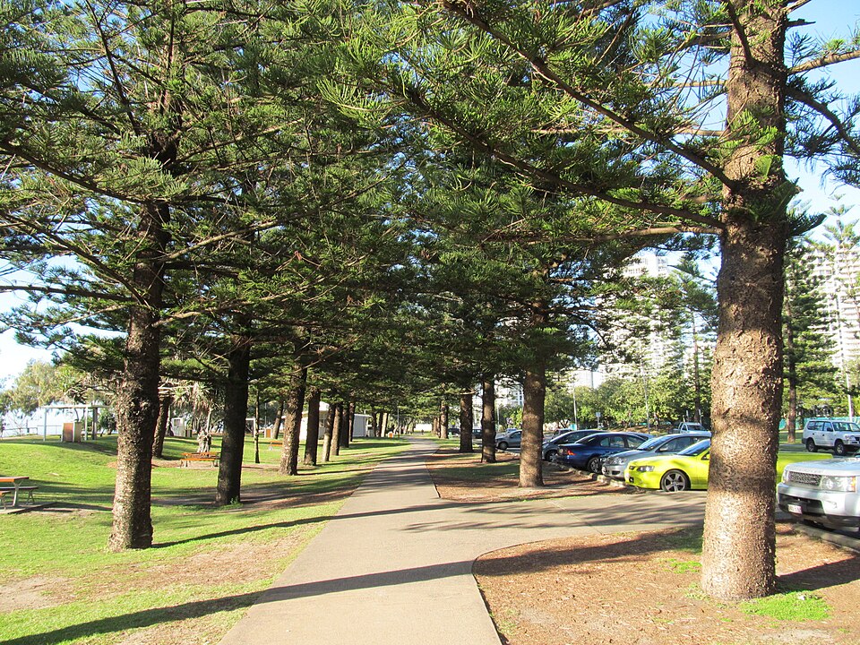 Main Beach foreshore — pathway near the beach