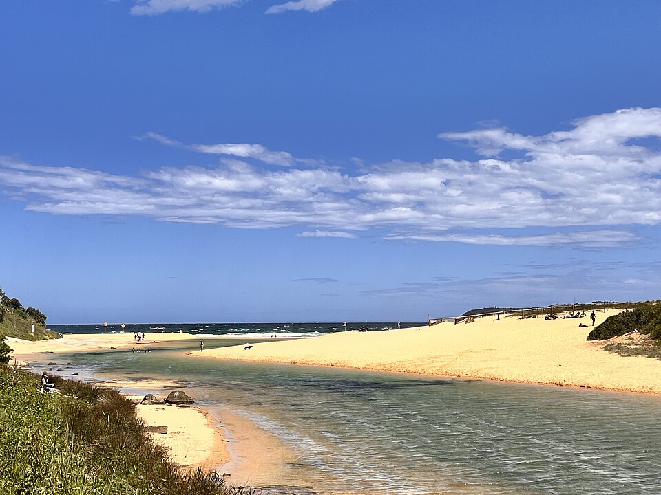 Manly area bush loop — reservoir parkland