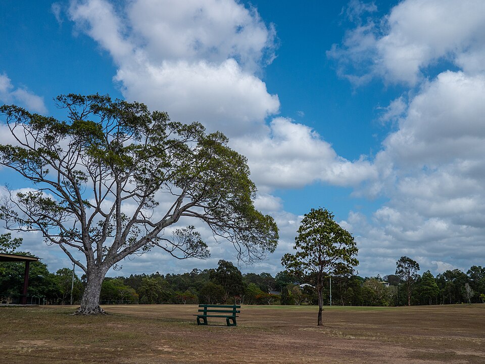 Marchant Park — open grass and trees