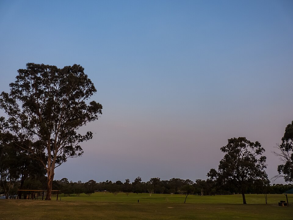 Marchant Park Aspley — park oval at dusk