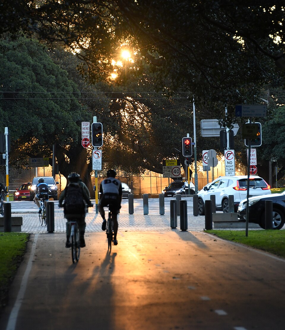Moore Park — park and surrounds
