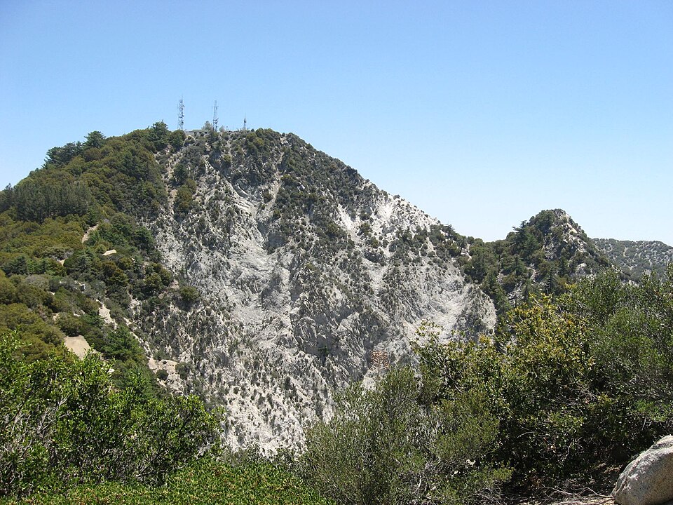 Mt Disappointment — forested ranges