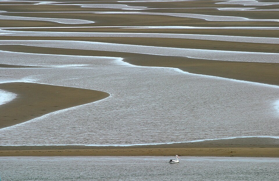 Nudgee Beach — sand flats