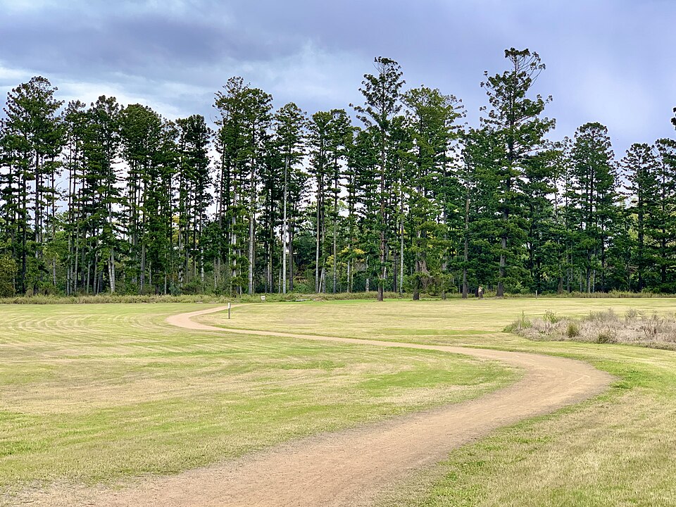 Oxley Creek Common — Secret Forest walk