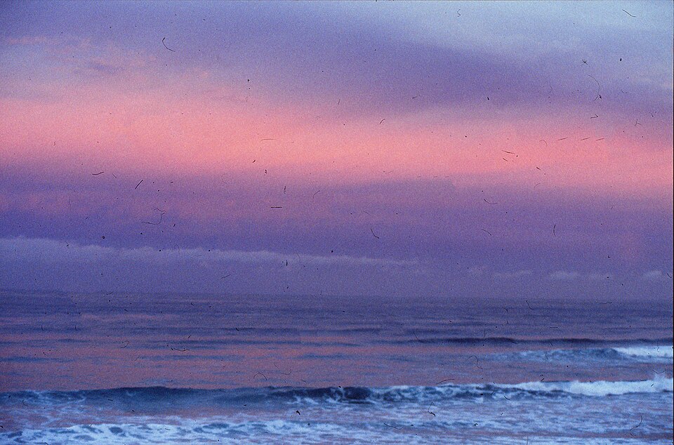 Palm Beach Gold Coast — surf and sand