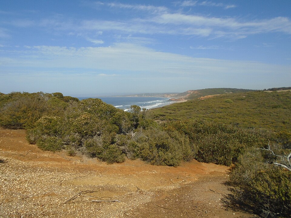 Point Addis — Great Ocean Road cliffs