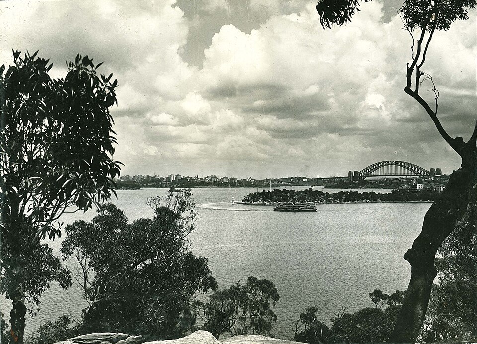 Cremorne — Elkington Park harbour views