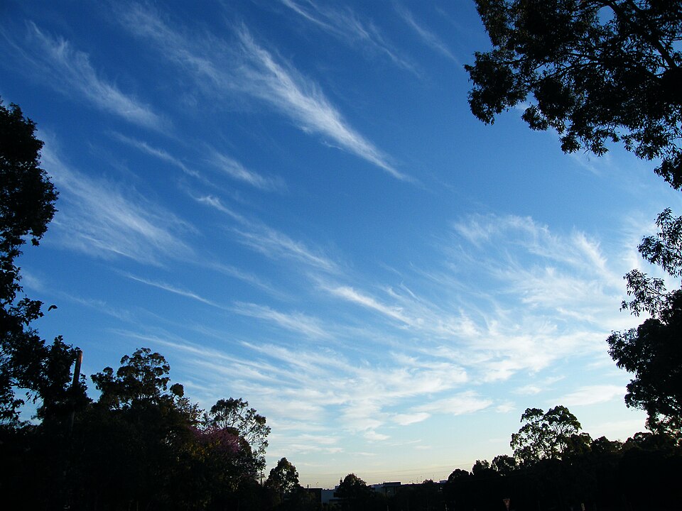 East Brisbane suburban parkland