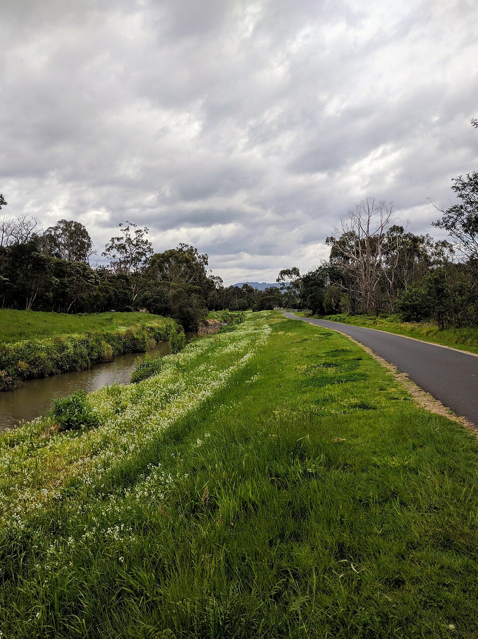 Ringwood area — Dandenong Creek trail