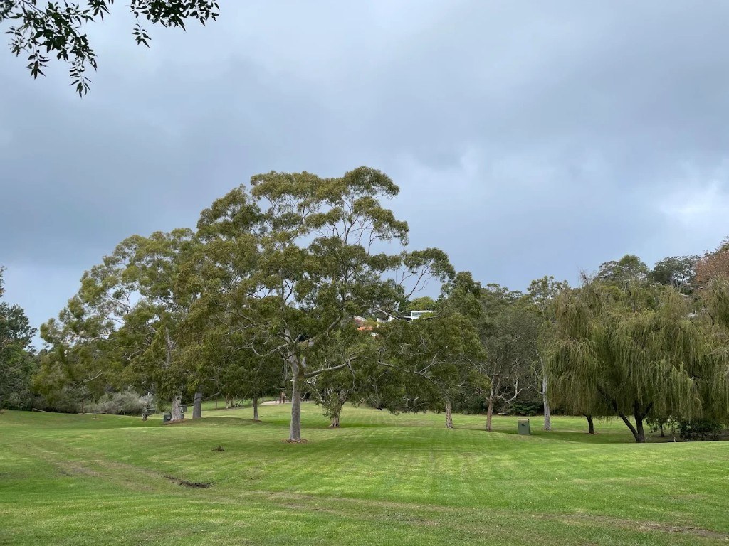 Rosherville Reserve — open grassed off-leash area, Mosman