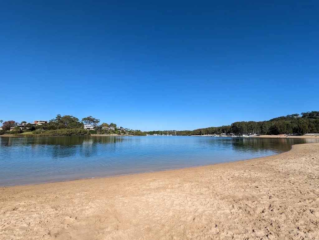 Bayview dog beach — sand and calm water