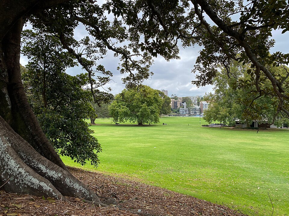 Rushcutters Bay Park — park and harbour views