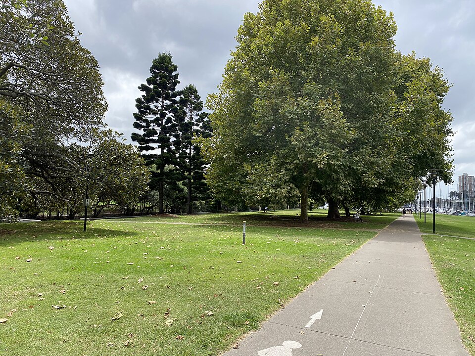 Rushcutters Bay Park — open grass