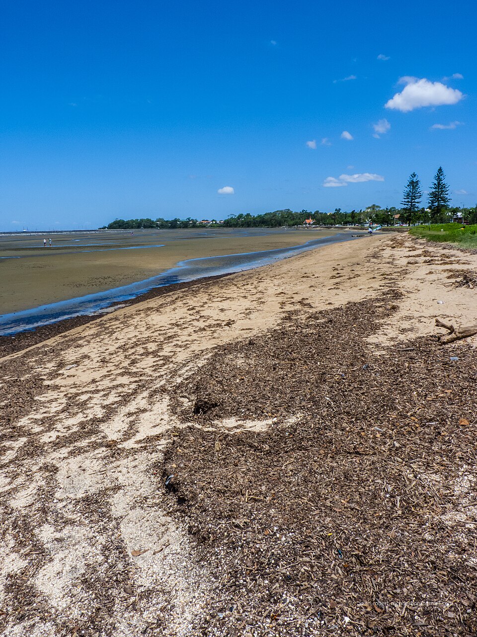 Sandgate foreshore — beach strandlines