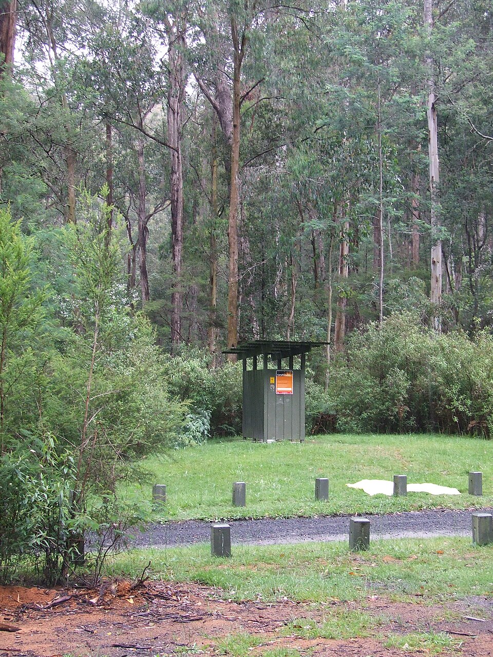 Bunyip State Park — campsite bush tracks