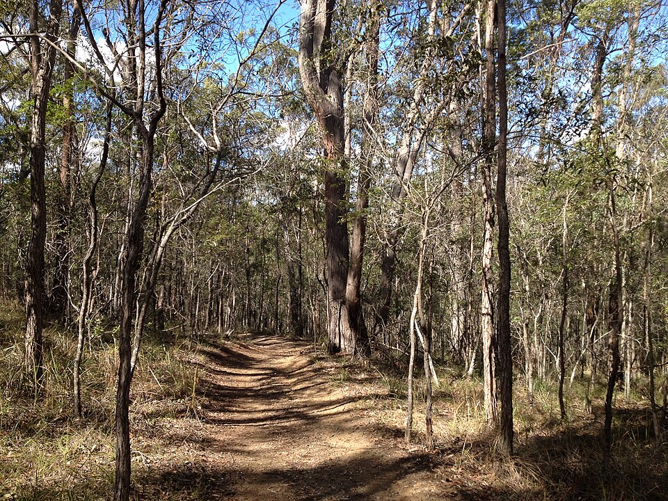 Seven Hills area bushland — walking trail