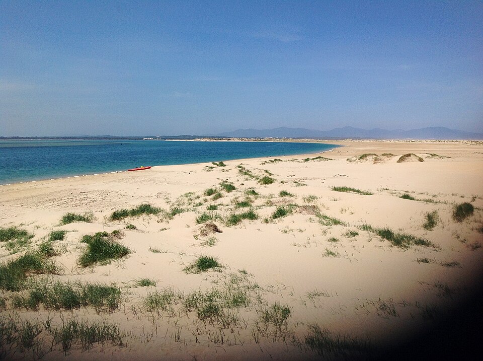 Sandy Point — sand dunes at Shallow Inlet