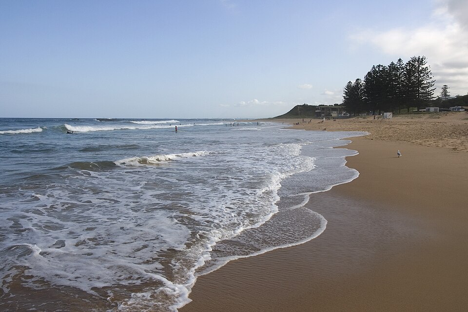 Sharkey’s Beach (Coledale) — coastal views