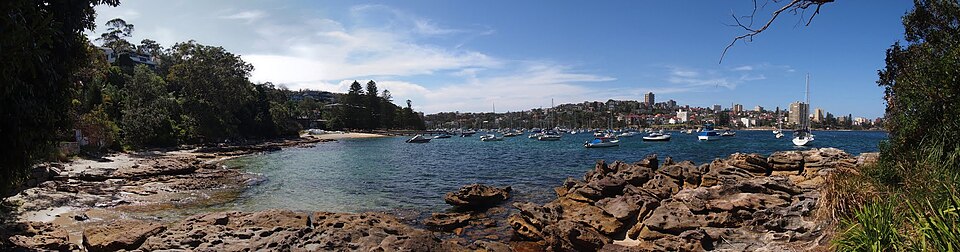 Manly Scenic Walk — bush and harbour