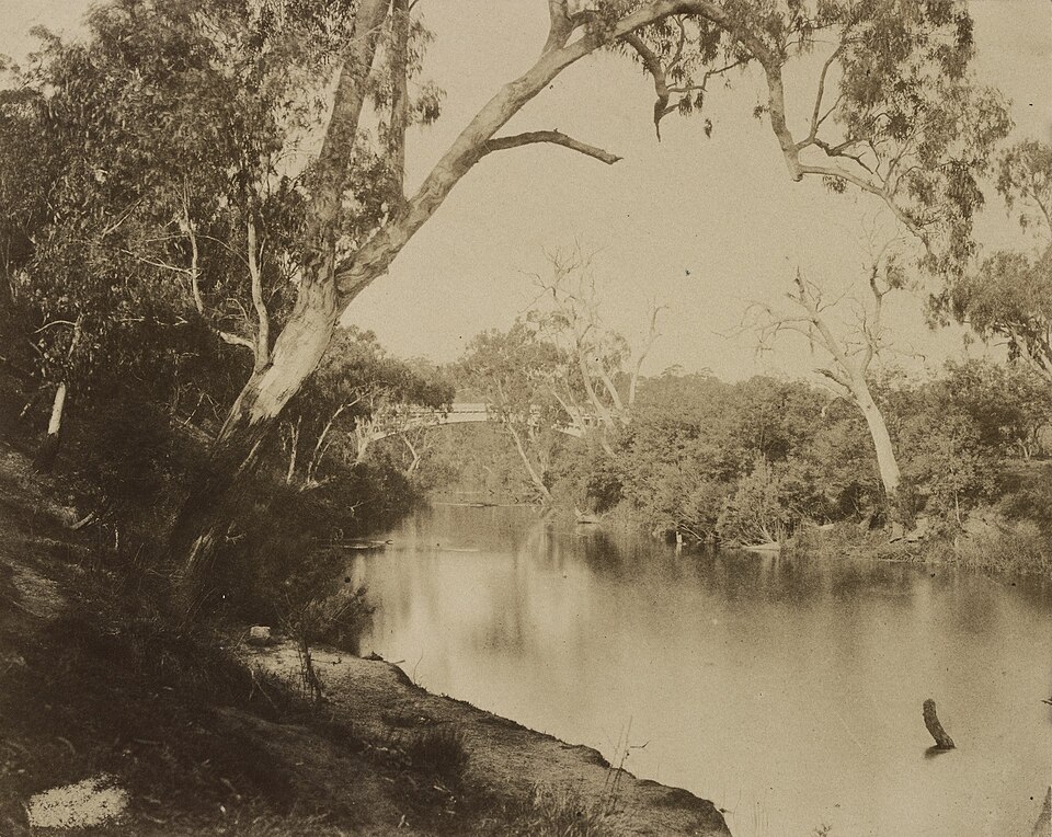 Studley Park — Yarra river views