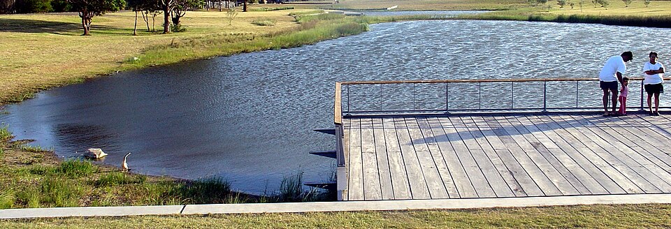 Sydney Park — wetland ponds
