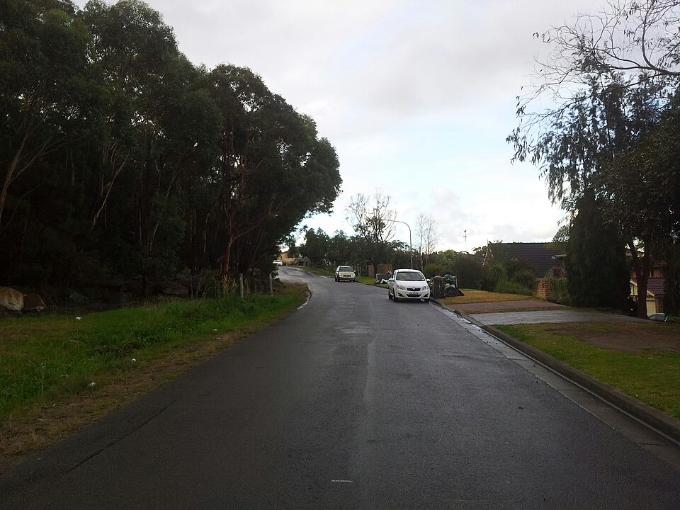 Barden Ridge — bush and open space