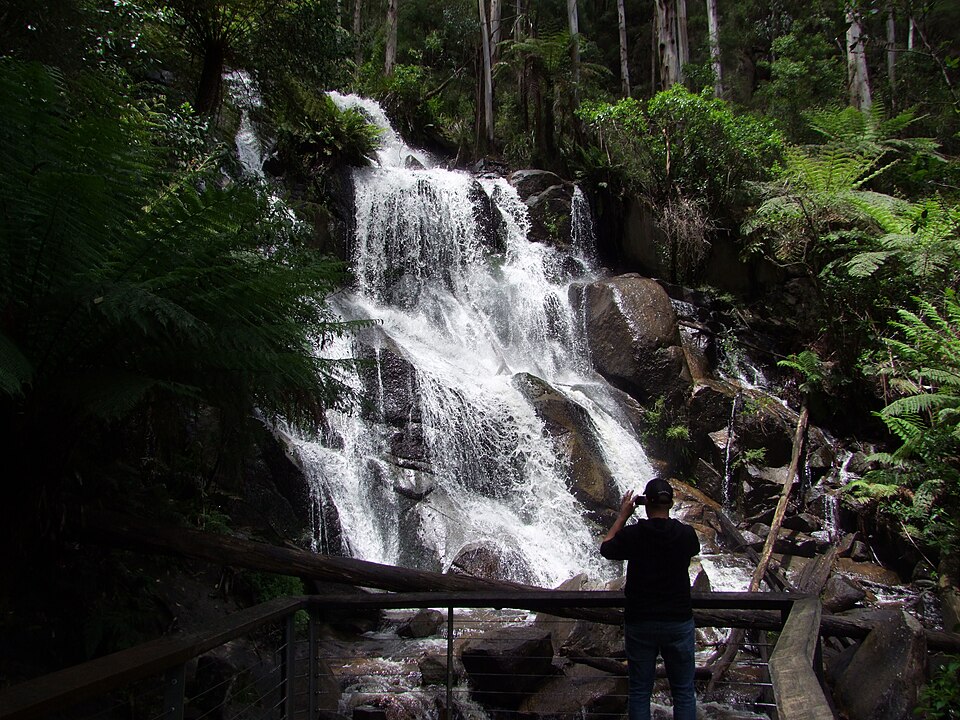 Toorongo Falls — waterfall walk