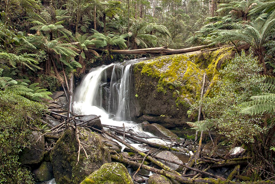 Amphitheatre Falls Noojee — falls loop