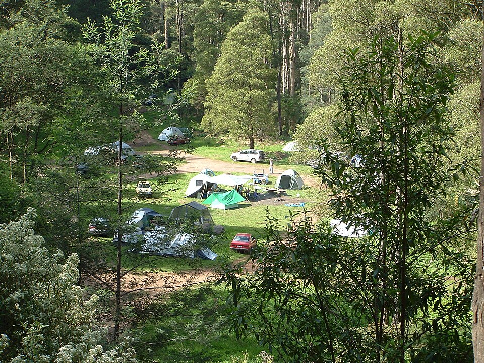 Toorongo Falls Reserve — bush track area