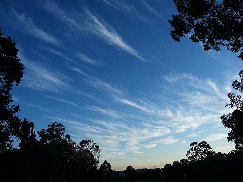 Chermside parkland — open green reserve